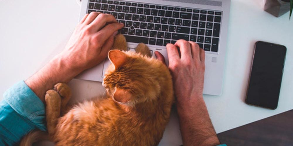 archimed_env_teletravail