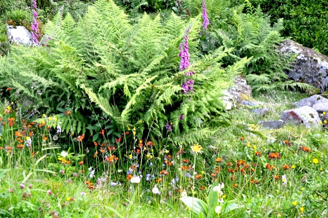 INGÉNIEUR·E ECOLOGUE - CDI - secteur GRAND EST